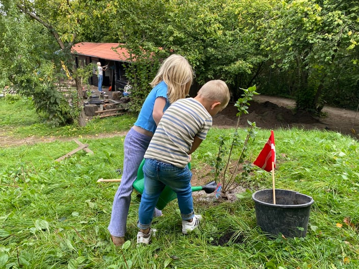 ROSE Kylling støtter Plant et Træ